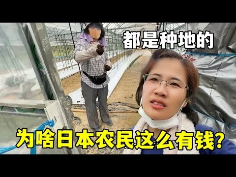 英雄联盟职业联赛夏季赛总决赛门票三秒售罄