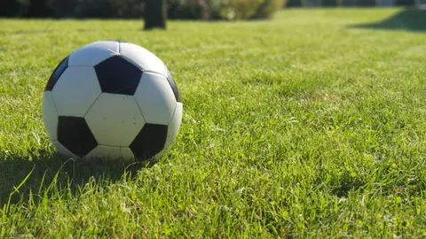 [德甲]魏斯豪普特巧妙策应，菲利普精彩远射破网