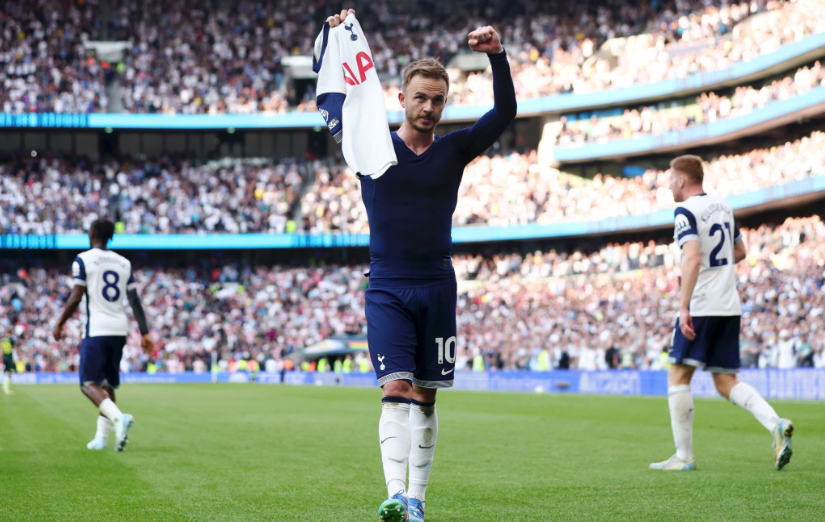 在全球羽毛 在全球羽毛